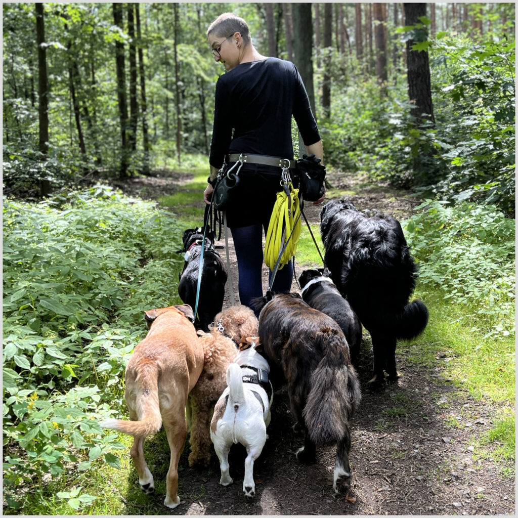 Geraldine mit ihrer HUndegruppe